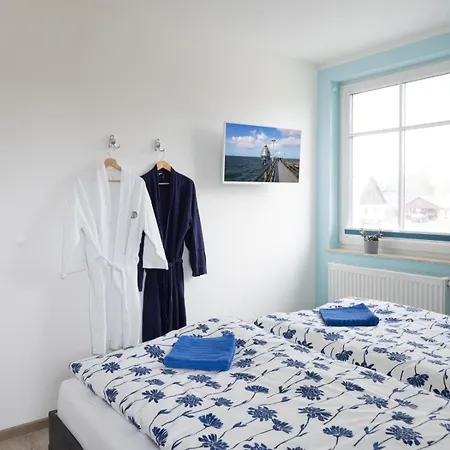 Lachmoewe 03 * Zingst